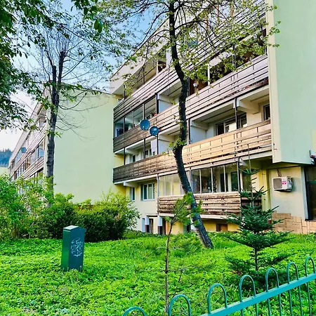 Babci Danusi Przy Krupowkach *