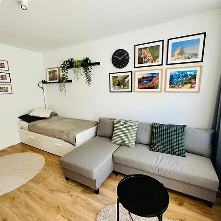 Mieszkanie Babci Danusi W Centrum Zakopanego - Juliusza Zborowskiego 3 Mieszkanie 24 * Zakopane