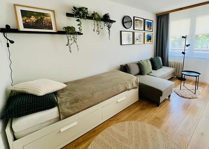 Babci Danusi Przy Krupowkach